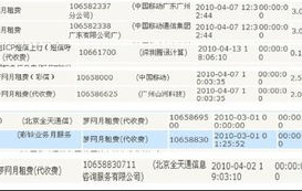 中国移动话费清单查询,便捷详单，轻松掌握消费情况