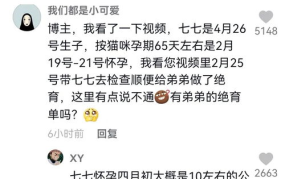 抖音吃瓜娱乐博主有哪些,揭秘热门话题背后的幕后故事