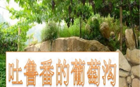 葡萄沟ppt,瓜果飘香，风情万种