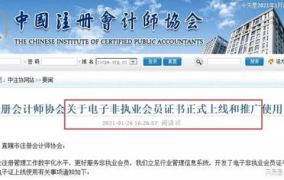 注册会计师协会网站,行业自律与专业发展的引领者”