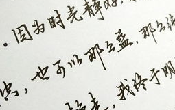手写体字体,字里行间的人文情怀