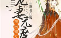 神医嫡女寒王宠妻无度,寒王宠妻无度，权谋天下