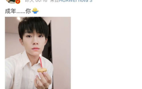 吃瓜娱乐圈云之羽,娱乐圈的瓜田秘闻