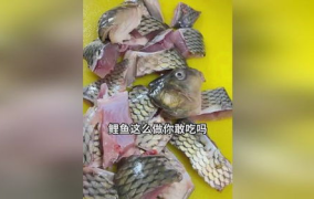 吃瓜娱乐小鲤鱼视频,趣味视频引网友热议