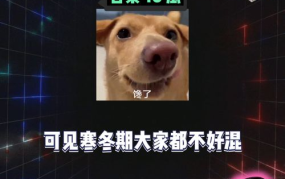 全网吃瓜娱乐,揭秘娱乐圈幕后故事与热点事件