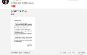 乐华娱乐声明吃瓜,吃瓜群众如何解读娱乐圈风云