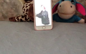 娱乐吃瓜宠物,吃瓜宠物们的欢乐日常