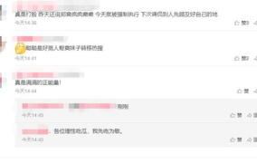 娱乐吃瓜酱语音评论视频,语音评论视频背后的精彩瞬间