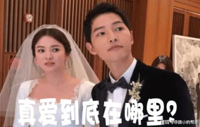 娱乐圈吃瓜事件下载,揭秘幕后真相与惊人内幕