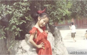 吃瓜娱乐圈贵妃是谁,揭秘娱乐圈神秘新贵