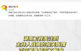 娱乐吃瓜网718,揭秘娱乐圈最新热点事件